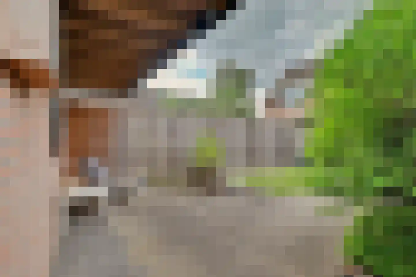 Costerlaan 27 Vlijmen thumbnail 37