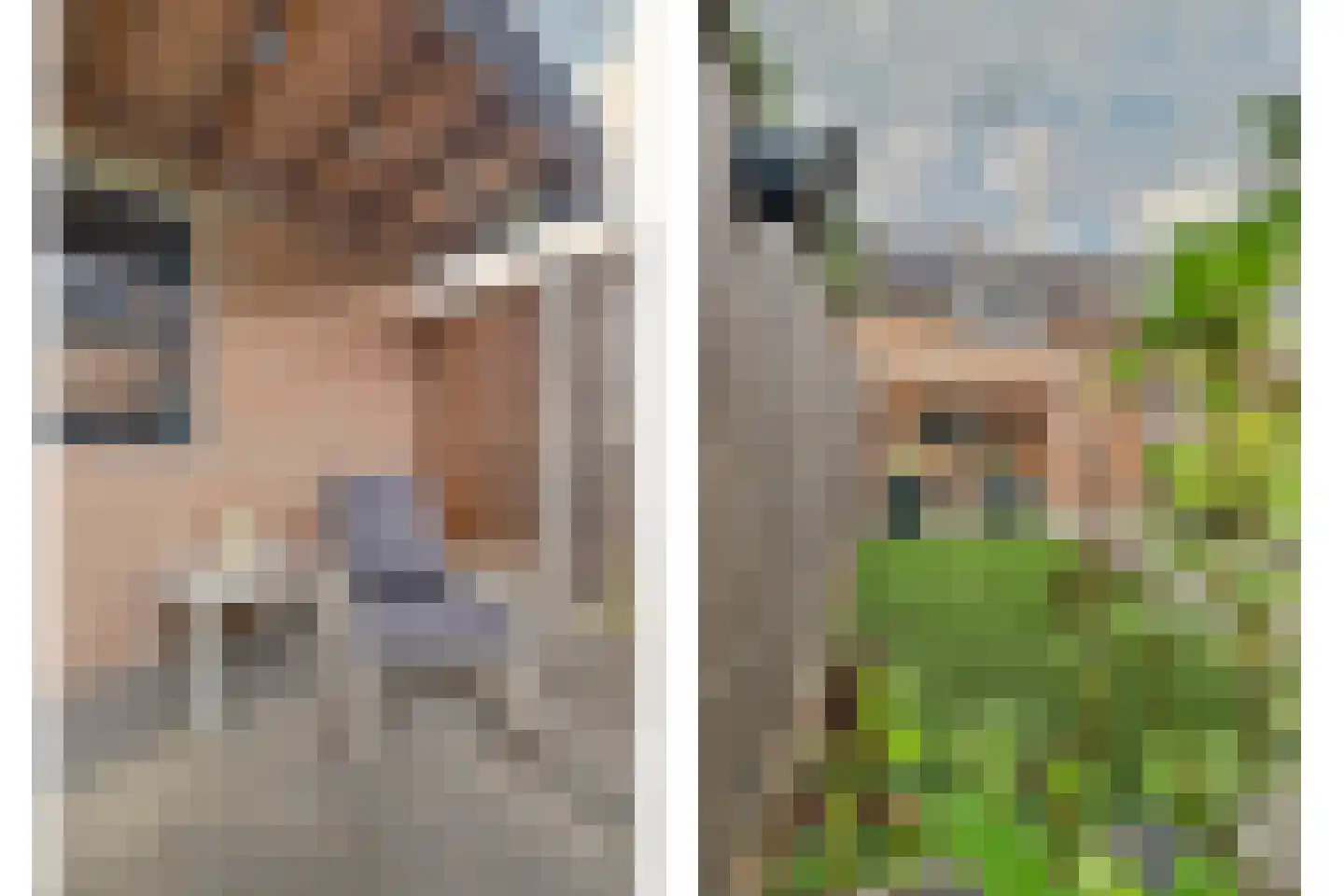 Costerlaan 27 Vlijmen thumbnail 39