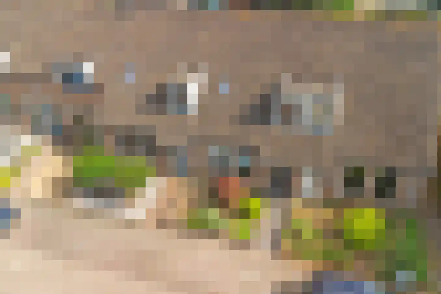 Costerlaan 27 Vlijmen thumbnail 45