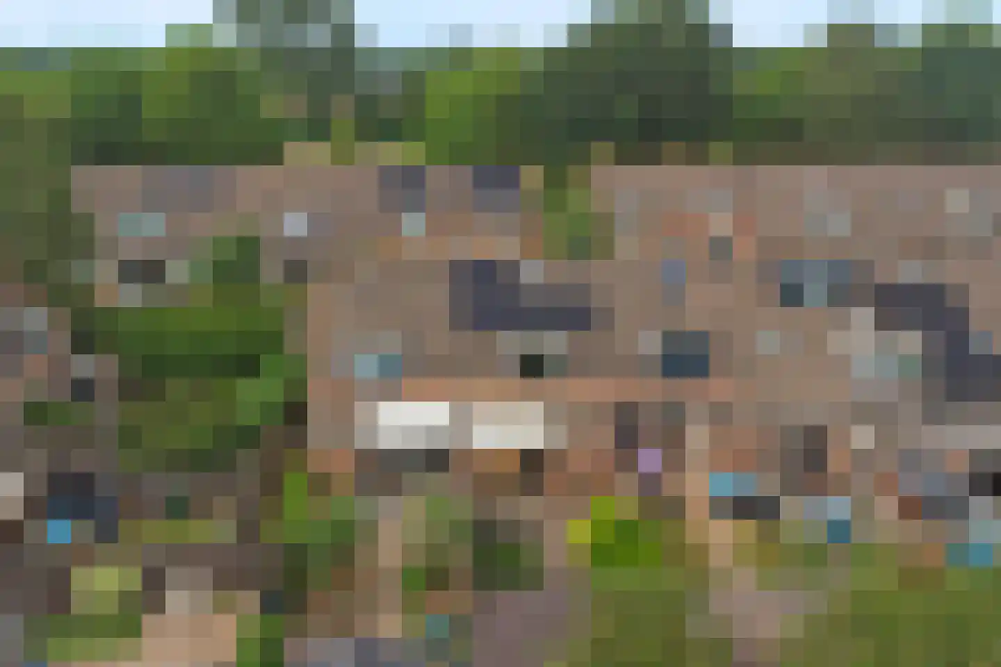 Costerlaan 27 Vlijmen thumbnail 48