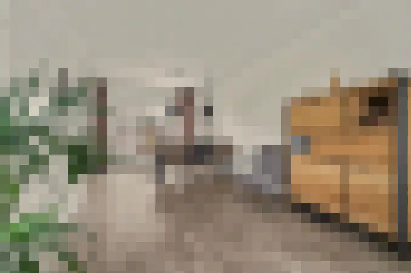 Costerlaan 27 Vlijmen thumbnail 6