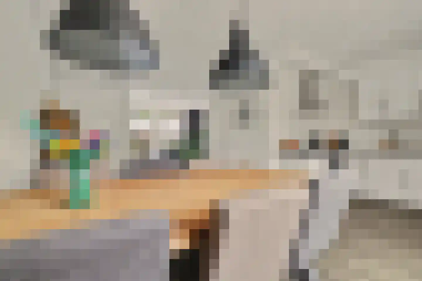 Costerlaan 27 Vlijmen thumbnail 9