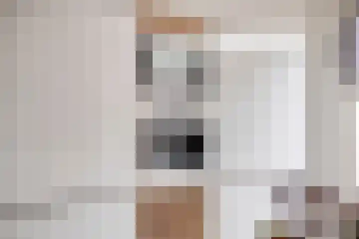 Costerlaan 36 Vlijmen thumbnail 11