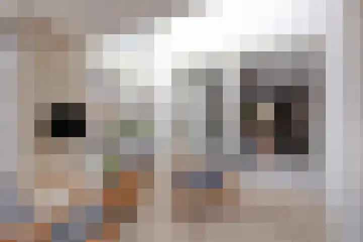 Costerlaan 36 Vlijmen thumbnail 16