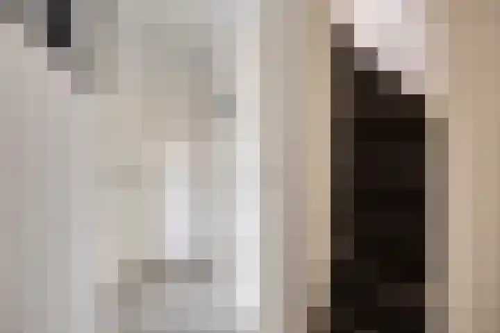 Costerlaan 36 Vlijmen thumbnail 17
