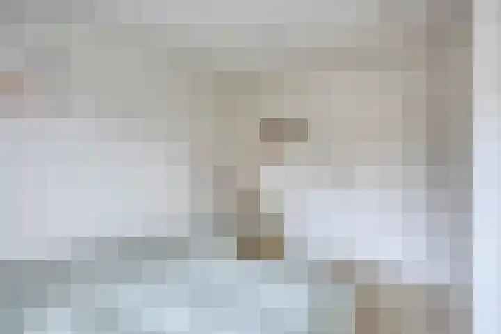 Costerlaan 36 Vlijmen thumbnail 20