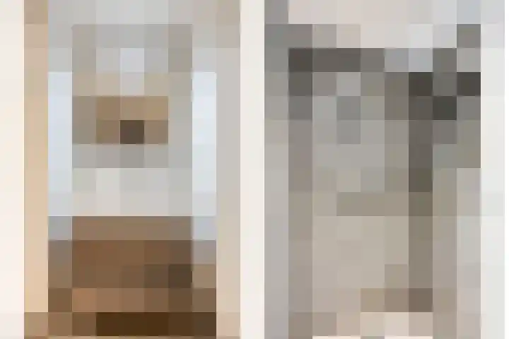 Costerlaan 36 Vlijmen thumbnail 22