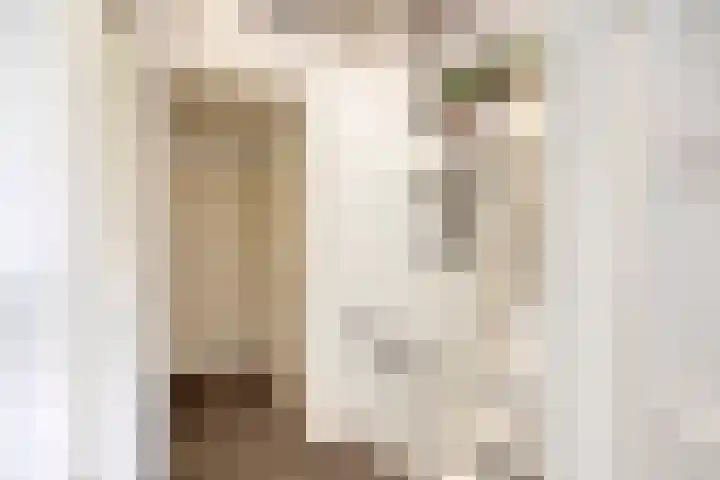 Costerlaan 36 Vlijmen thumbnail 25