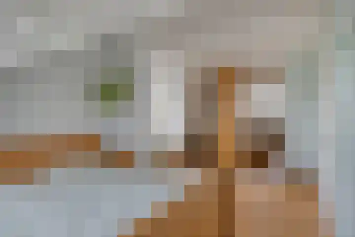 Costerlaan 36 Vlijmen thumbnail 27