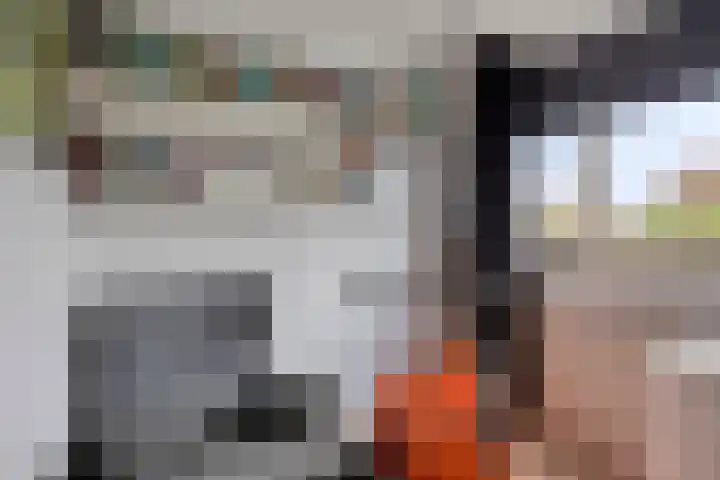 Costerlaan 36 Vlijmen thumbnail 33