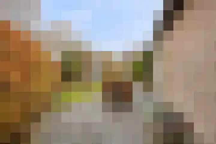Costerlaan 36 Vlijmen thumbnail 35