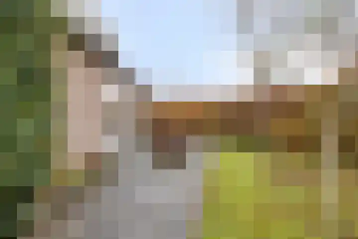 Costerlaan 36 Vlijmen thumbnail 37