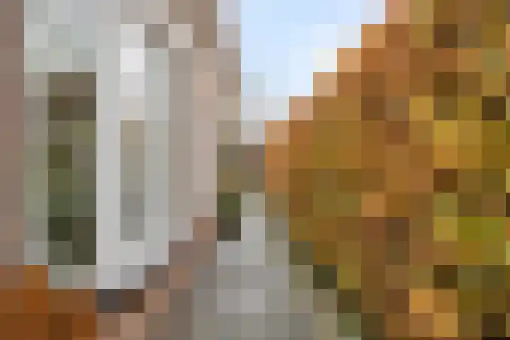 Costerlaan 36 Vlijmen thumbnail 38