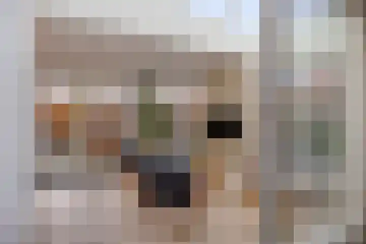 Costerlaan 36 Vlijmen thumbnail 4