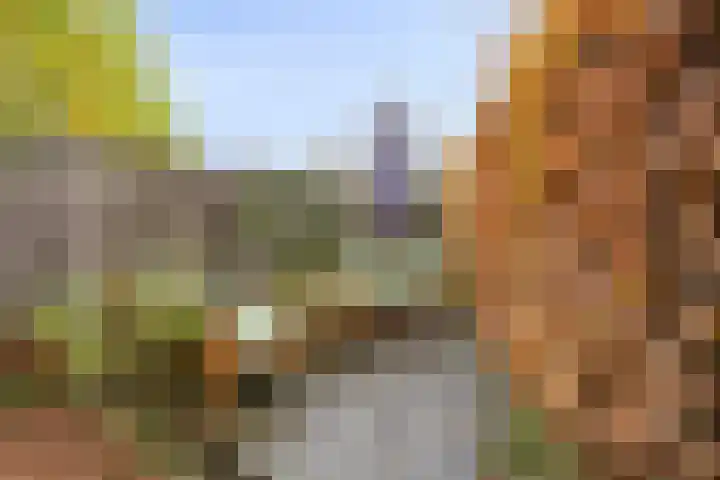 Costerlaan 36 Vlijmen thumbnail 40