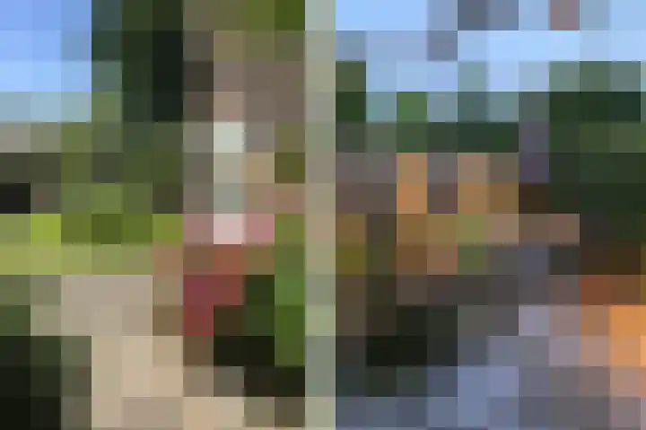 Costerlaan 36 Vlijmen thumbnail 41