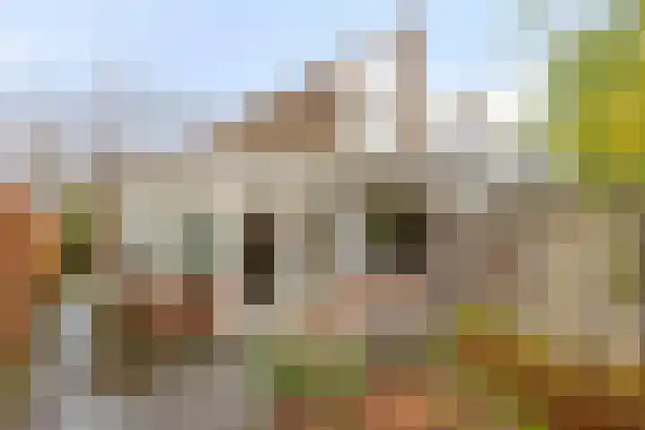 Costerlaan 36 Vlijmen thumbnail 42