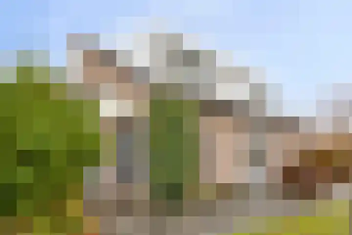 Costerlaan 36 Vlijmen thumbnail 43