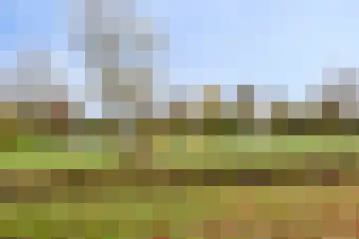 Costerlaan 36 Vlijmen thumbnail 44