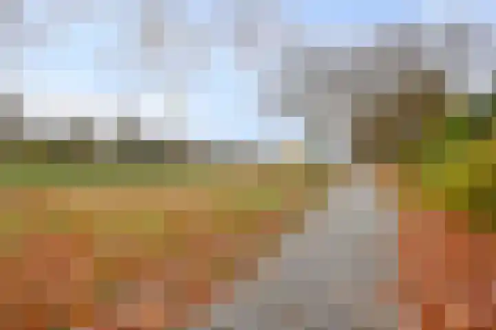 Costerlaan 36 Vlijmen thumbnail 45