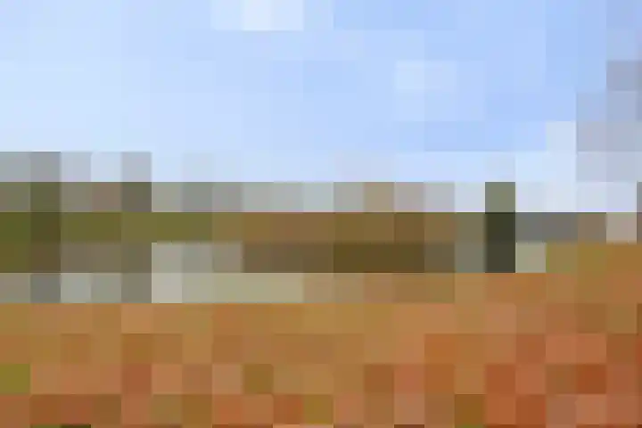 Costerlaan 36 Vlijmen thumbnail 46
