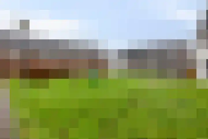 Costerlaan 36 Vlijmen thumbnail 47