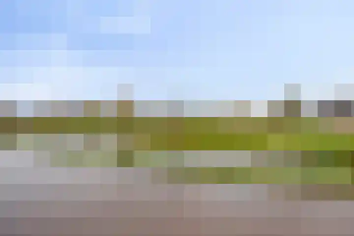 Costerlaan 36 Vlijmen thumbnail 48