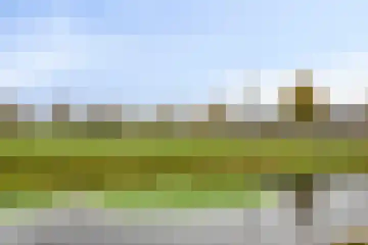 Costerlaan 36 Vlijmen thumbnail 49