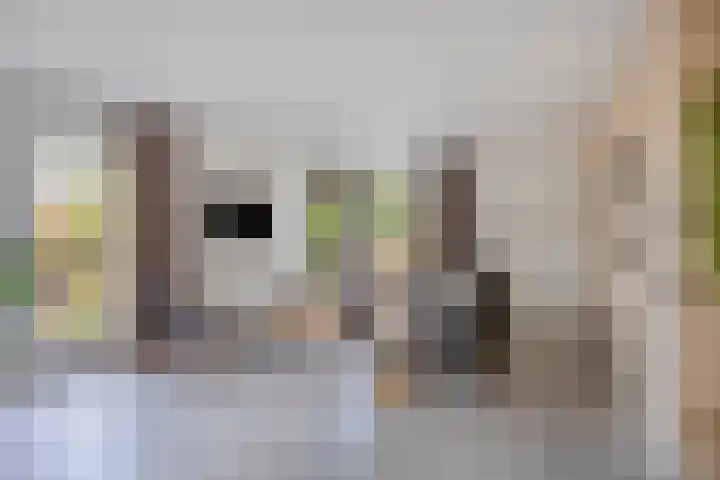 Costerlaan 36 Vlijmen thumbnail 6