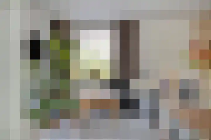 Costerlaan 36 Vlijmen thumbnail 7