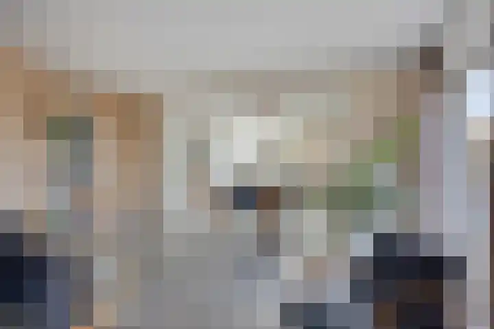 Costerlaan 36 Vlijmen thumbnail 8