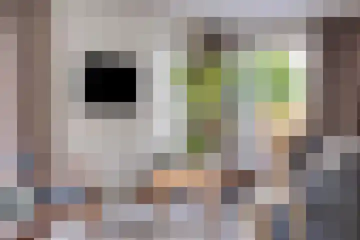 Costerlaan 36 Vlijmen thumbnail 9