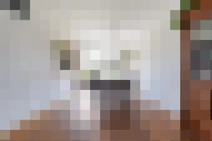 Costerlaan 7 Vlijmen thumbnail 11
