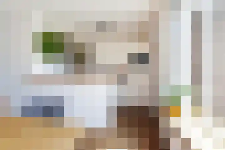 Costerlaan 7 Vlijmen thumbnail 12