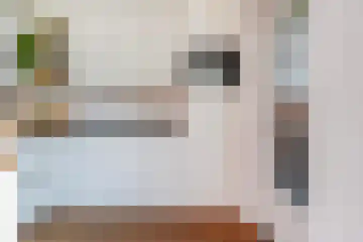 Costerlaan 7 Vlijmen thumbnail 13