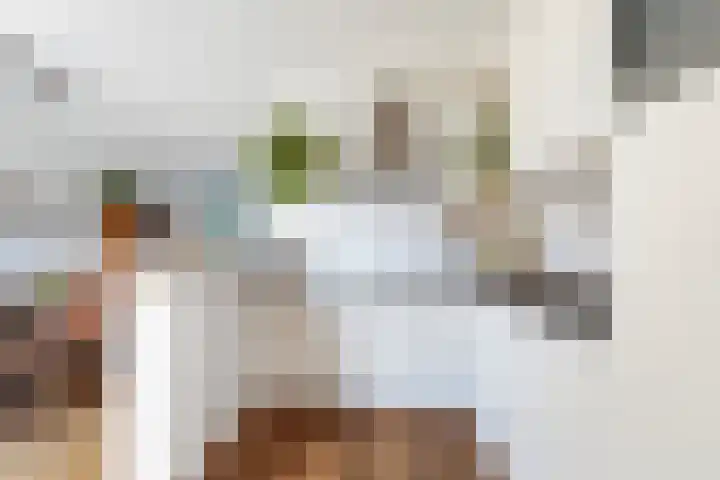 Costerlaan 7 Vlijmen thumbnail 14