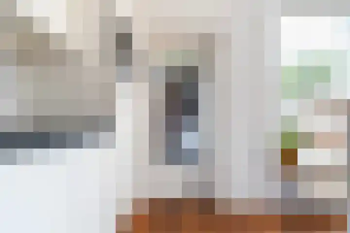 Costerlaan 7 Vlijmen thumbnail 15