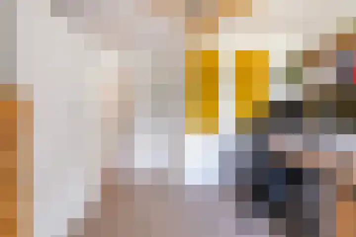 Costerlaan 7 Vlijmen thumbnail 21