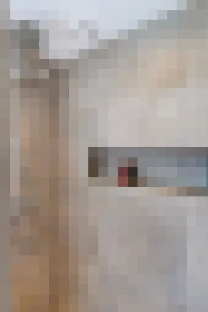 Costerlaan 7 Vlijmen thumbnail 29