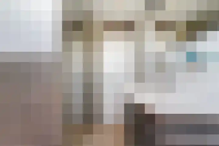 Costerlaan 7 Vlijmen thumbnail 31