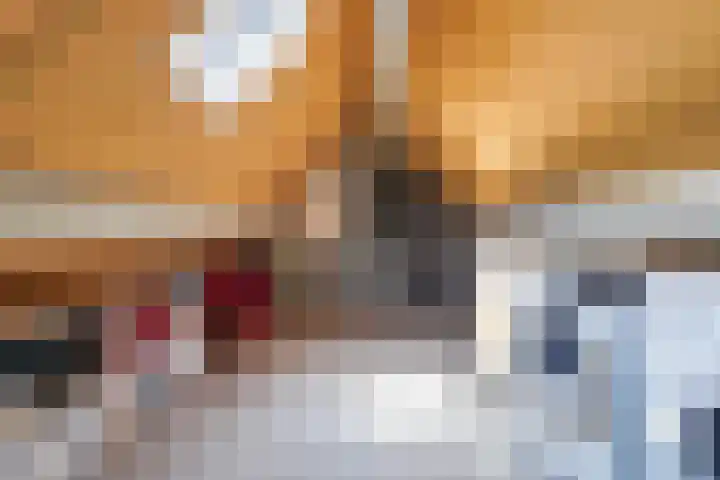 Costerlaan 7 Vlijmen thumbnail 33