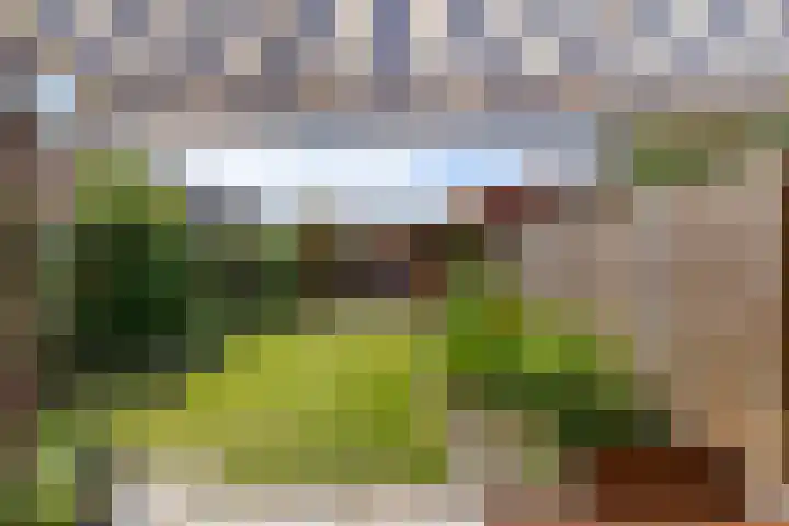 Costerlaan 7 Vlijmen thumbnail 36