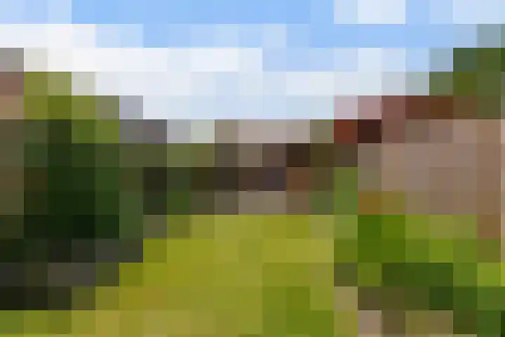 Costerlaan 7 Vlijmen thumbnail 37