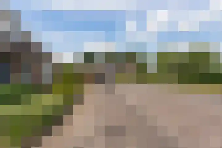 Costerlaan 7 Vlijmen thumbnail 39