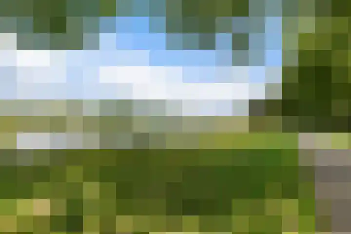Costerlaan 7 Vlijmen thumbnail 40