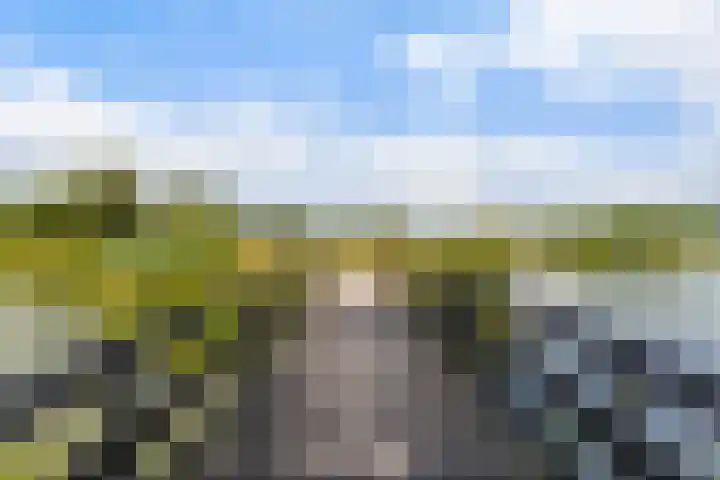 Costerlaan 7 Vlijmen thumbnail 41