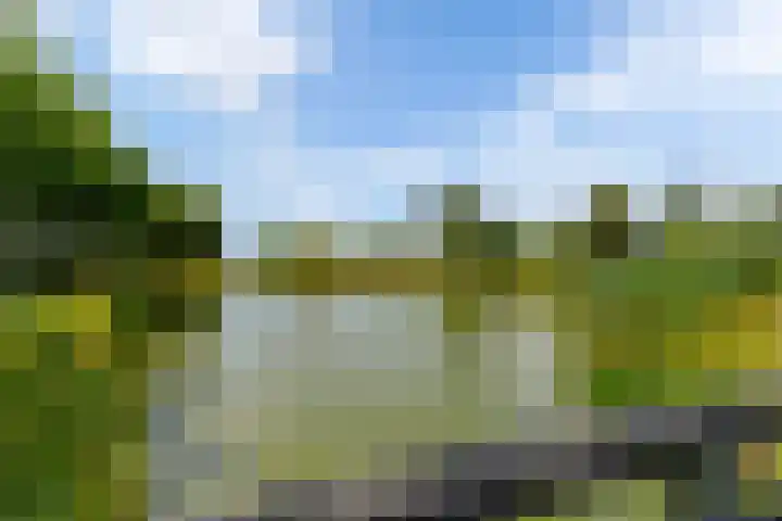 Costerlaan 7 Vlijmen thumbnail 42