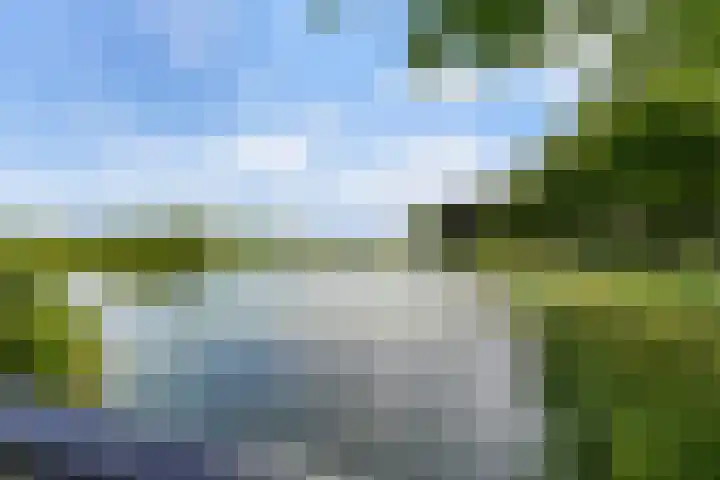 Costerlaan 7 Vlijmen thumbnail 43