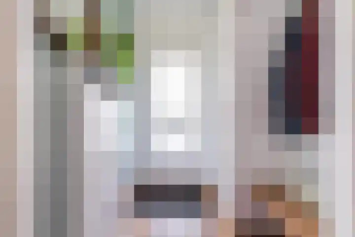 Costerlaan 7 Vlijmen thumbnail 6