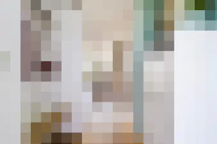 Costerlaan 7 Vlijmen thumbnail 7